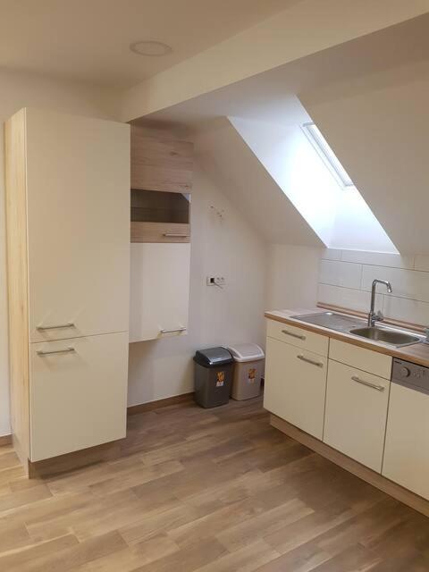 Apartmaji Zupan 보힌스카 벨라 외부 사진