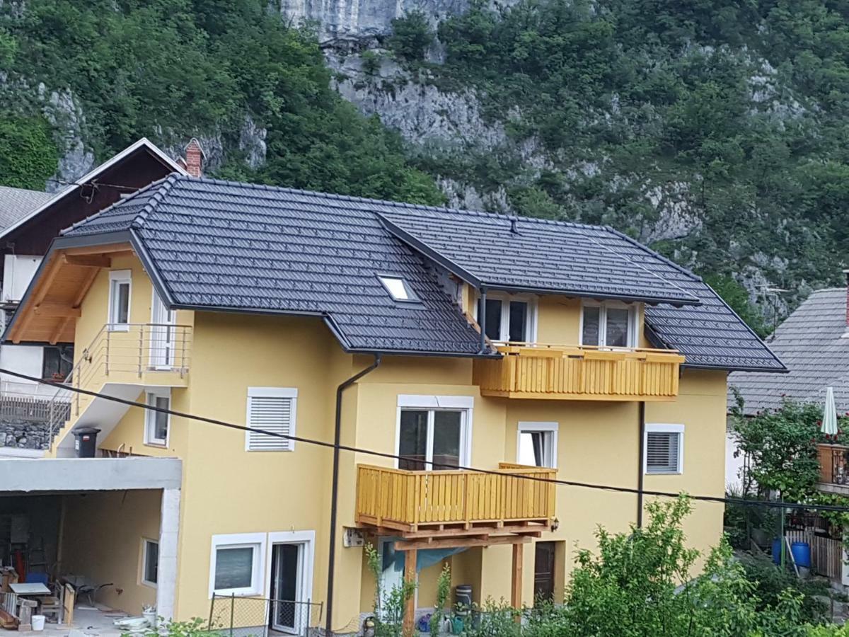 Apartmaji Zupan 보힌스카 벨라 외부 사진