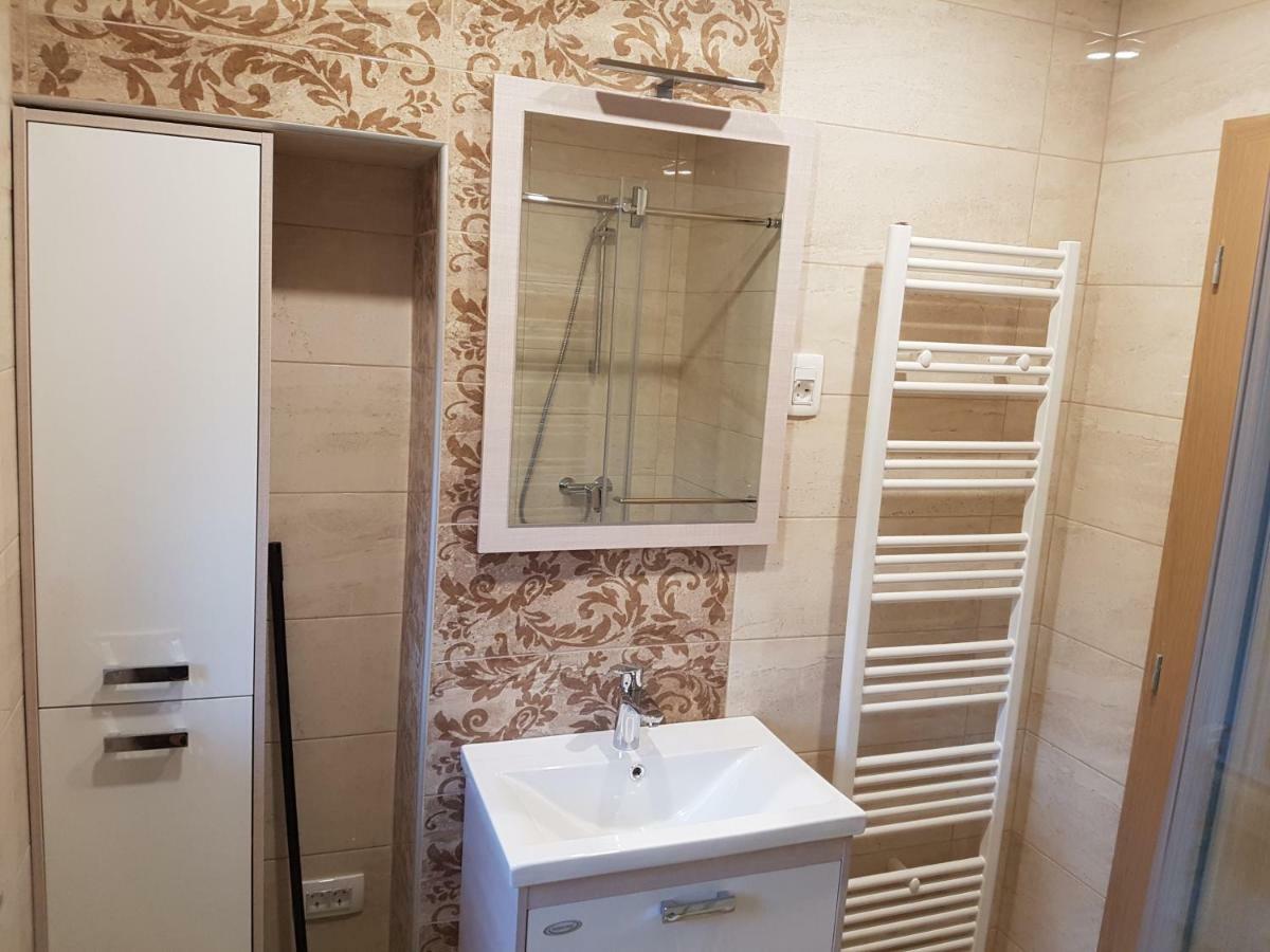 Apartmaji Zupan 보힌스카 벨라 외부 사진
