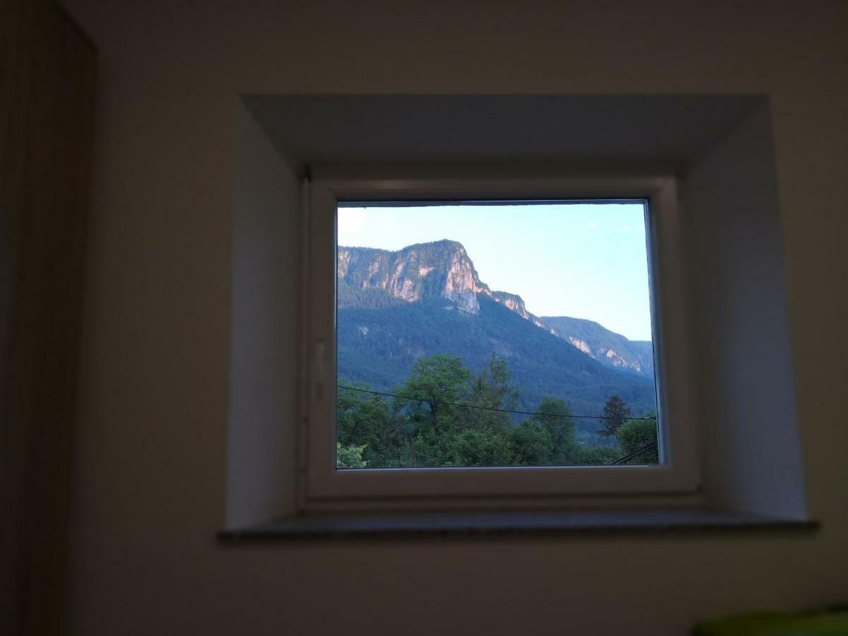 Apartmaji Zupan 보힌스카 벨라 외부 사진